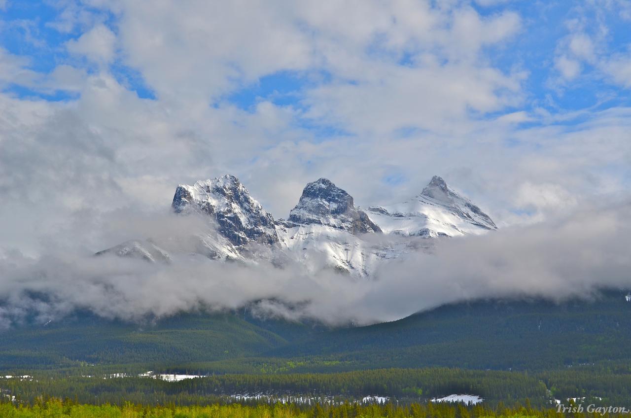 Prc Annex - Pet Friendly Aparthotel Canmore Esterno foto